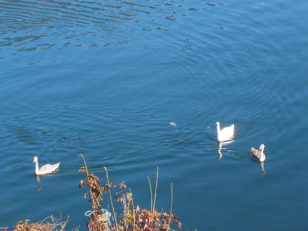 Haus Freitag Apartament Millstatt am See Zewnętrze zdjęcie